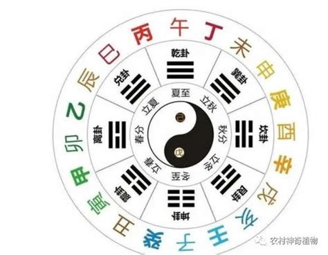 八字那因|什么是八字納音